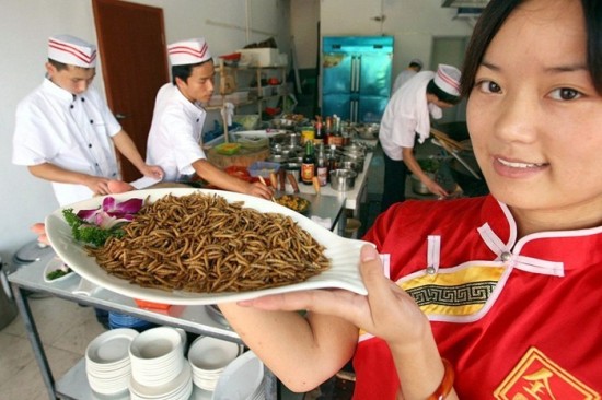 Insects as Food