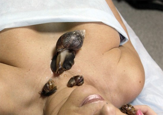 Snail Massage