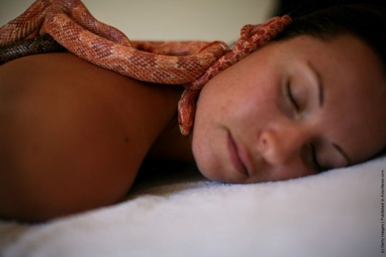 Snake Massage Spa